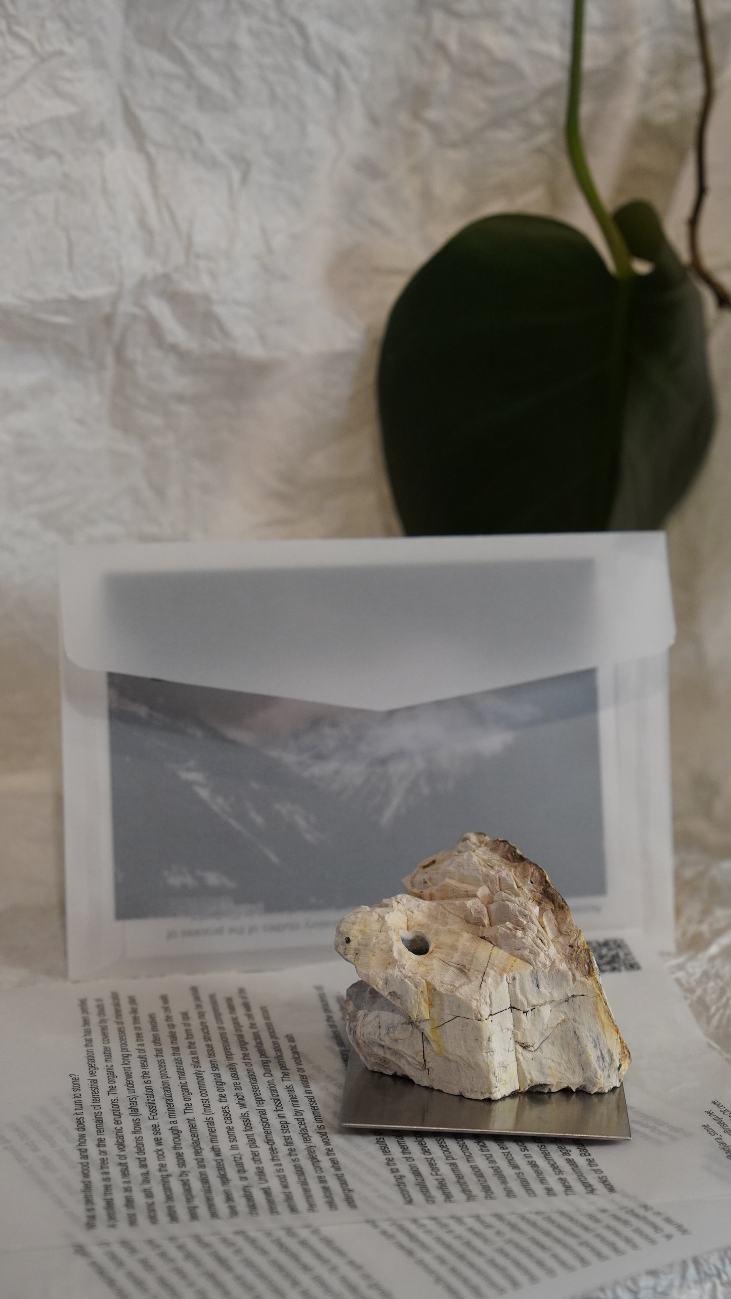 petrified wood incense