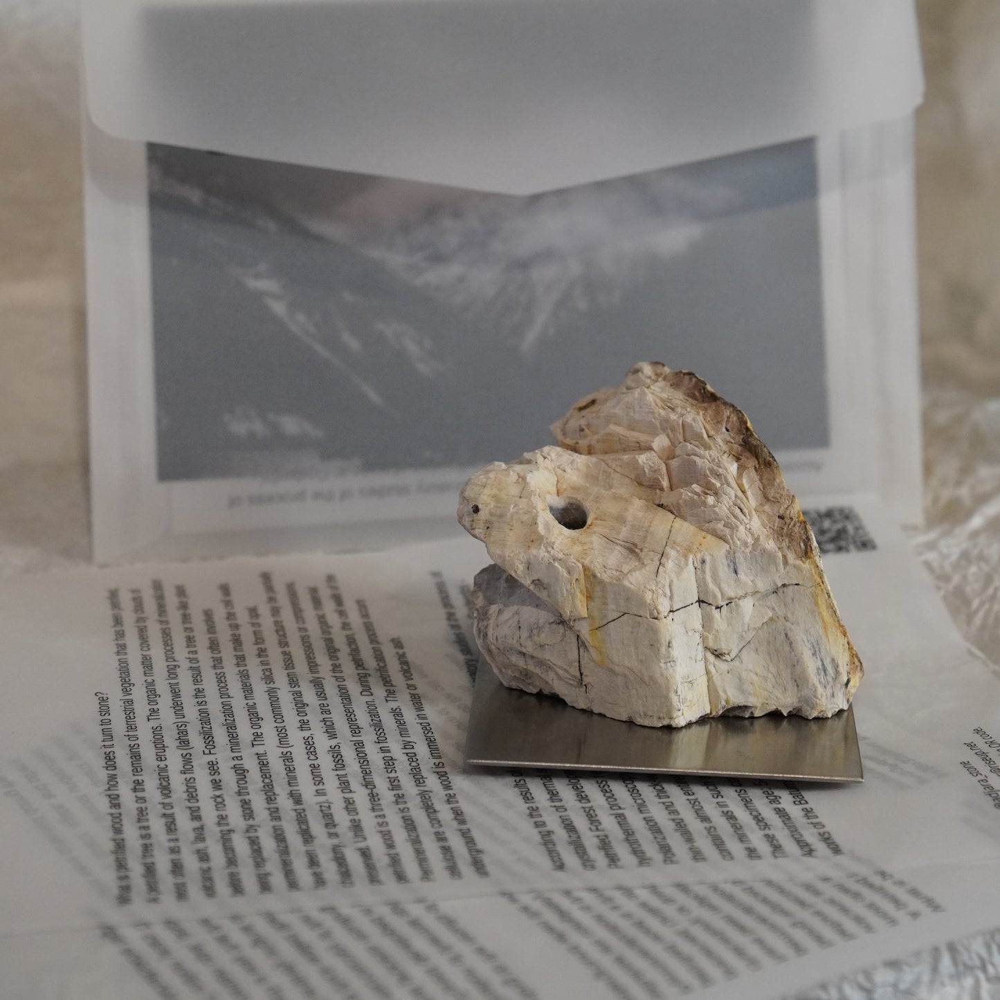 Light petrified wood incense holder | A_FLOW