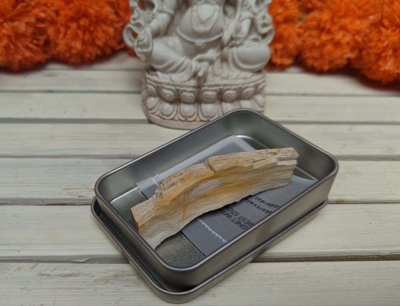 | a_flow | Petrified wood magnet