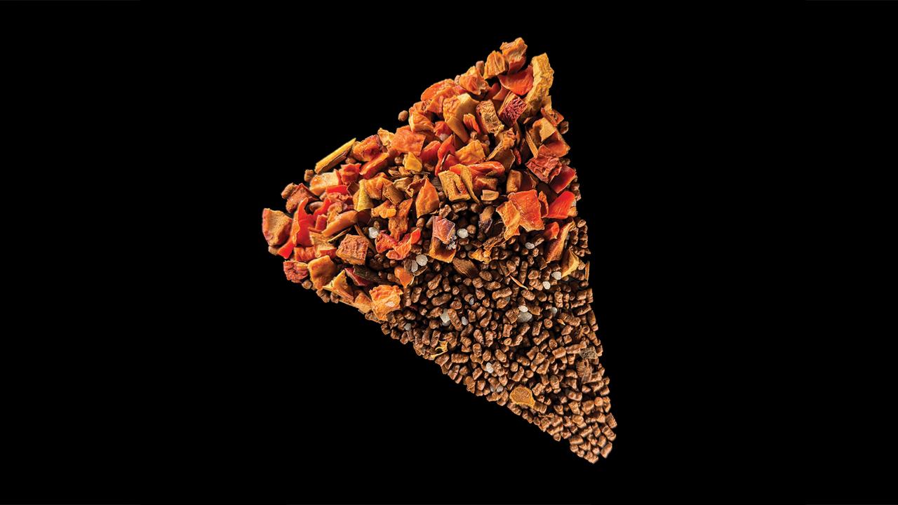 Buckwheat Tea "Apple Pie" (Ku Qiao Mix) 45g Pack |puer rangers|