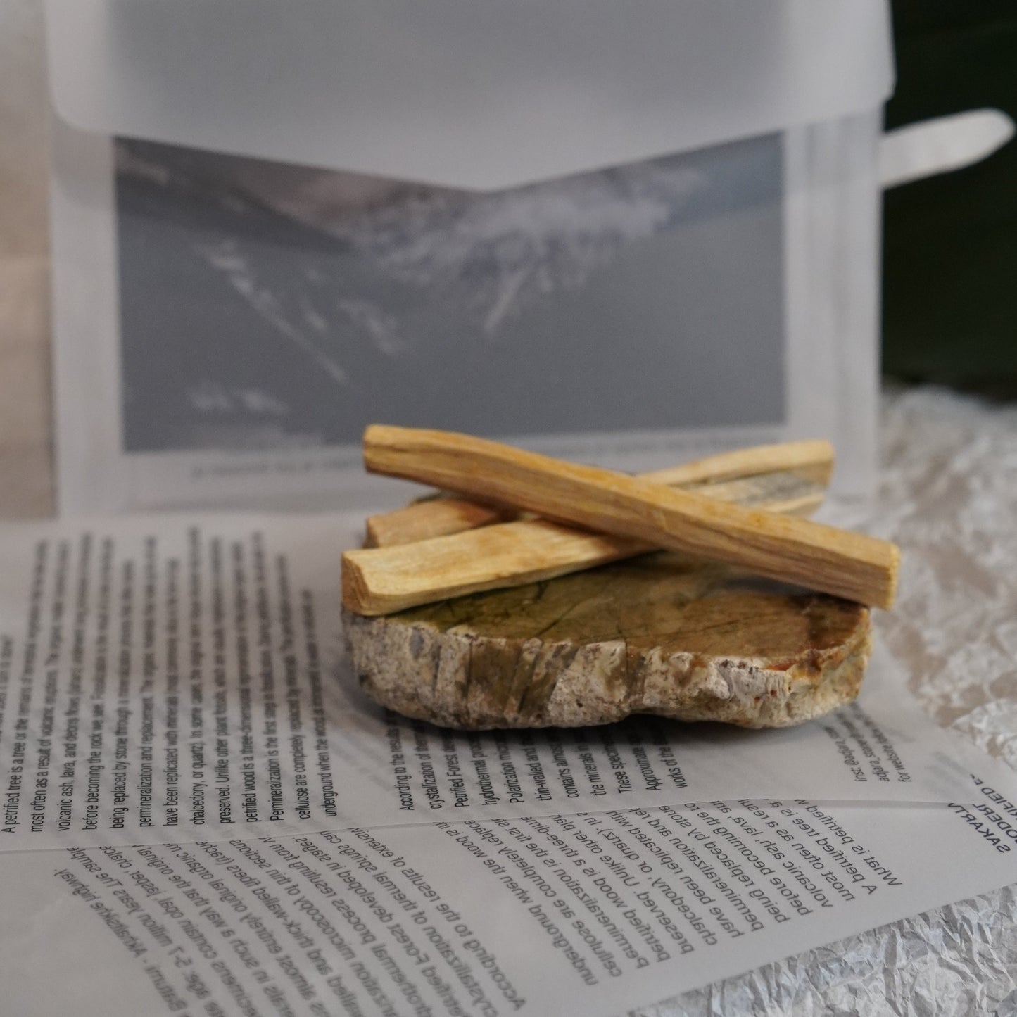 Petrified Wood Green | Mineral plate | A_FLOW
