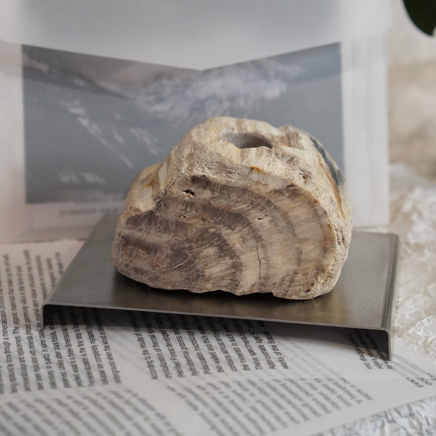 Petrified wood candle holder | A_FLOW