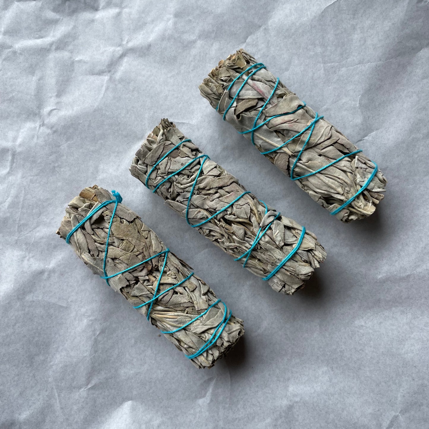 Sacred White Sage
