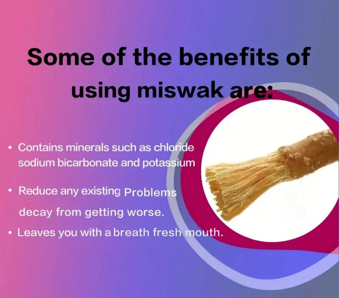 MISWAAK | Natural toothbrush