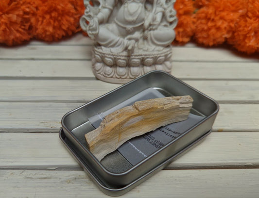 | a_flow | Petrified wood magnet