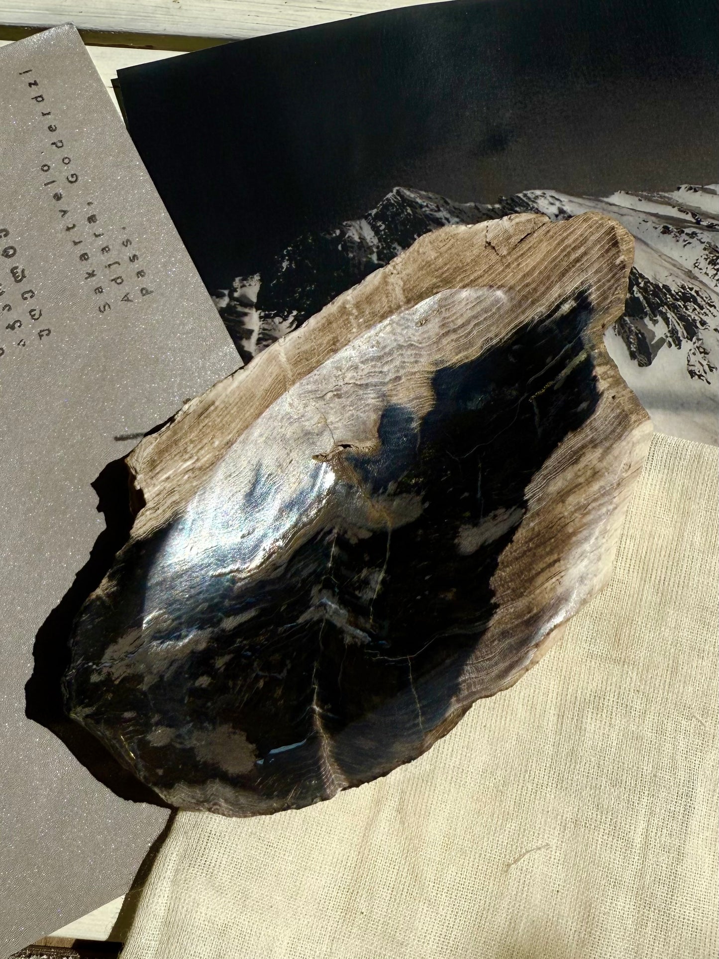 | a_flow | petrified tree dish