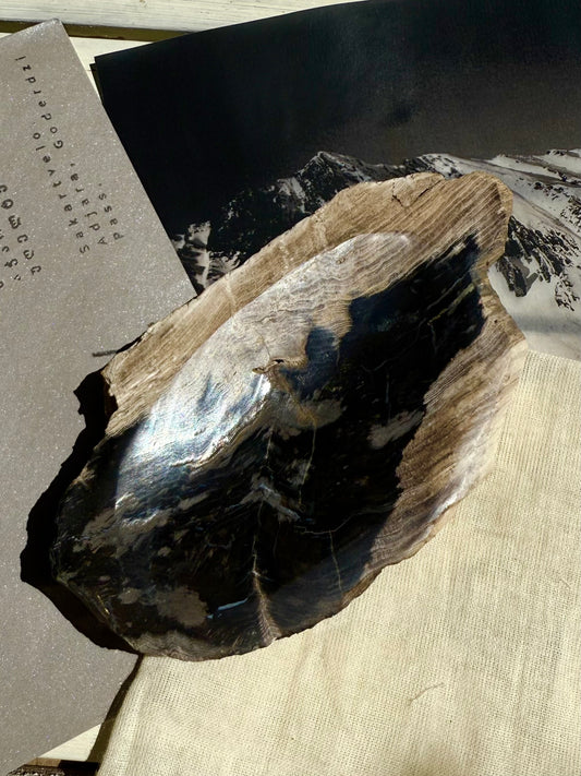 | a_flow | petrified tree dish
