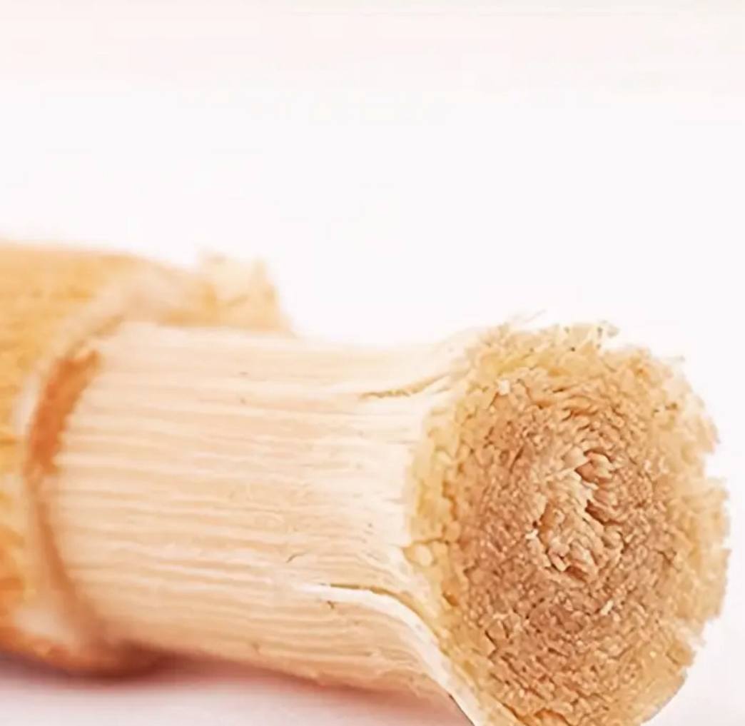 MISWAAK | Natural toothbrush