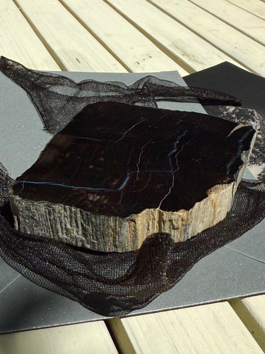 | a_flow | small petrified tree dish 
Goes with en envelope
