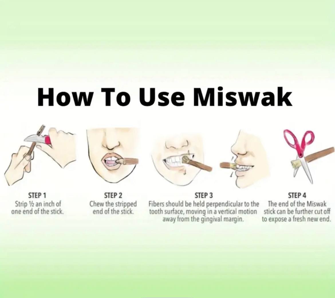 MISWAAK | Natural toothbrush