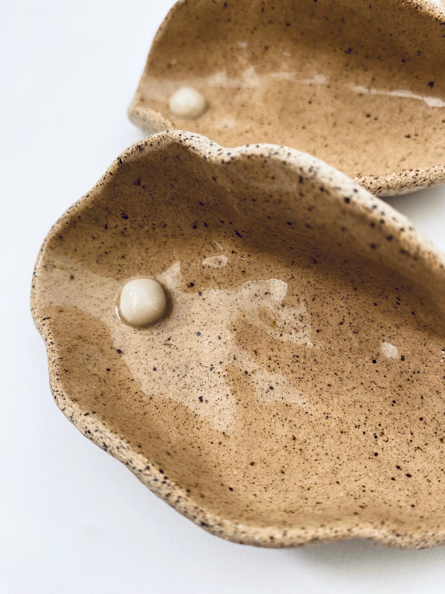 Ceramic Shell Holder S size | novoe vechnoe